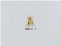 藏品(燈蛾科)的圖片